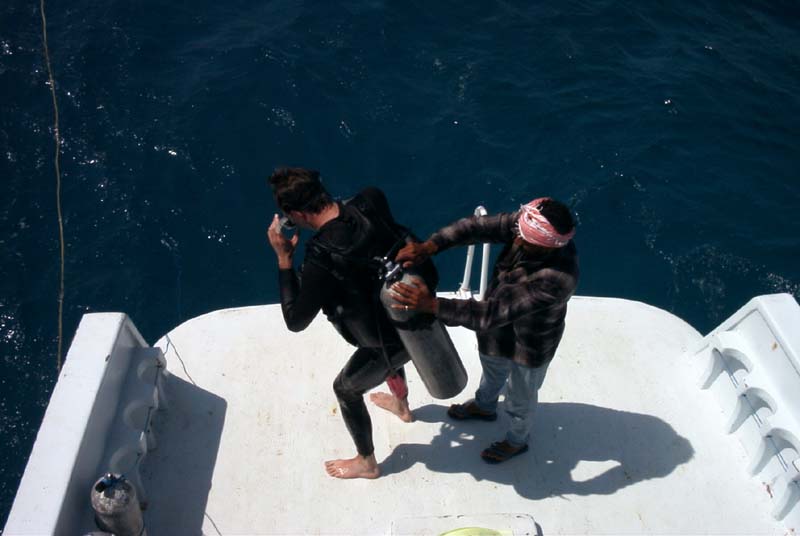 776x511 pixels (43K)