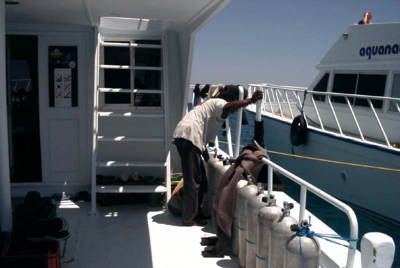 776x511 pixels (52K)