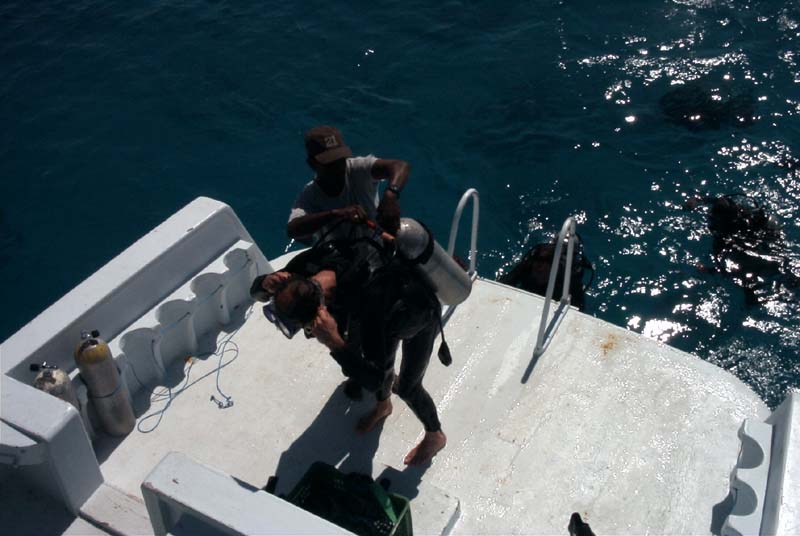 776x511 pixels (64K)