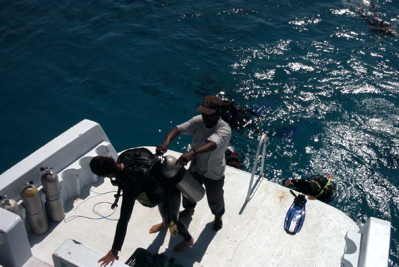 776x511 pixels (85K)