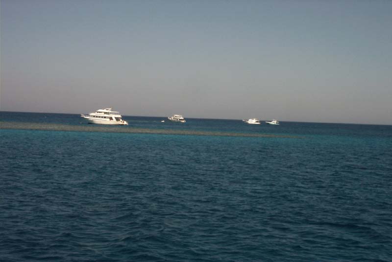 776x511 pixels (36K)