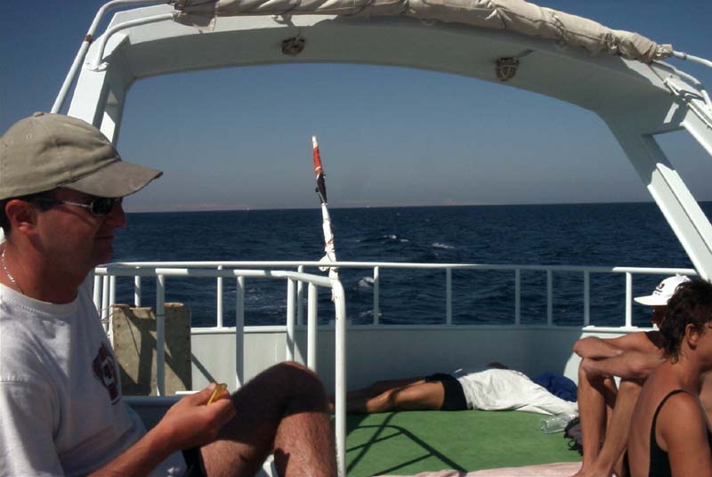 776x511 pixels (53K)