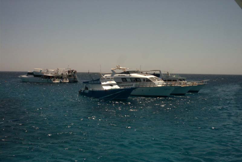 776x511 pixels (40K)