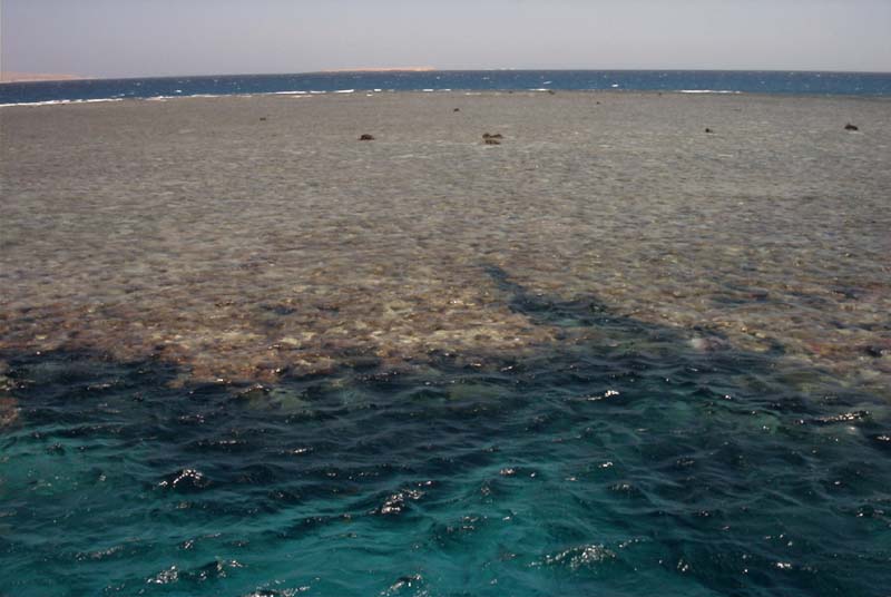 776x511 pixels (59K)