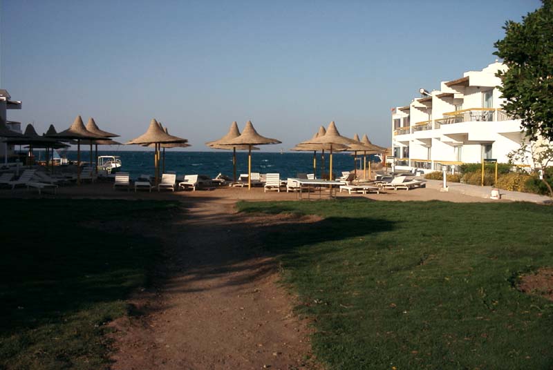 776x511 pixels (56K)