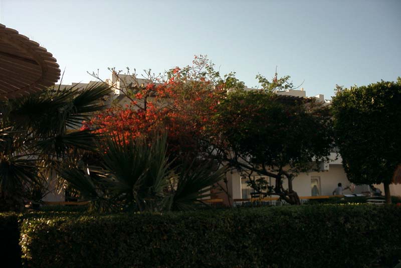 776x511 pixels (58K)