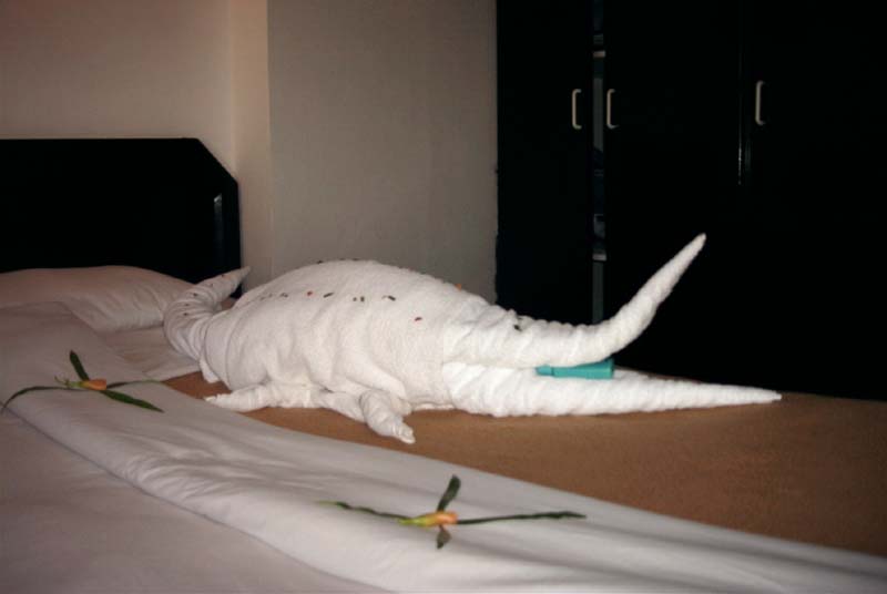 776x511 pixels (29K)