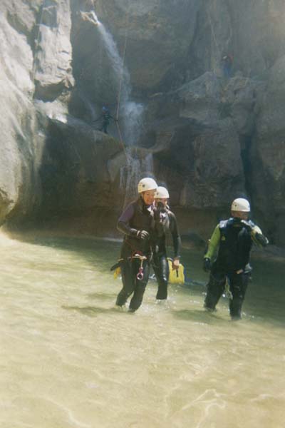 376x575 pixels (28K)