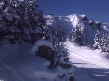 358x261 pixels (17K)