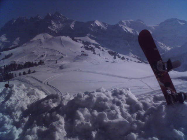 616x455 pixels (29K)