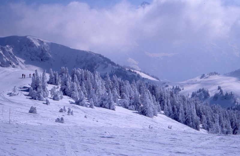 776x496 pixels (58K)