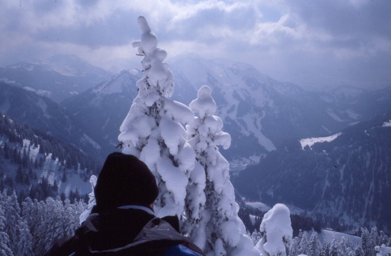 776x499 pixels (48K)