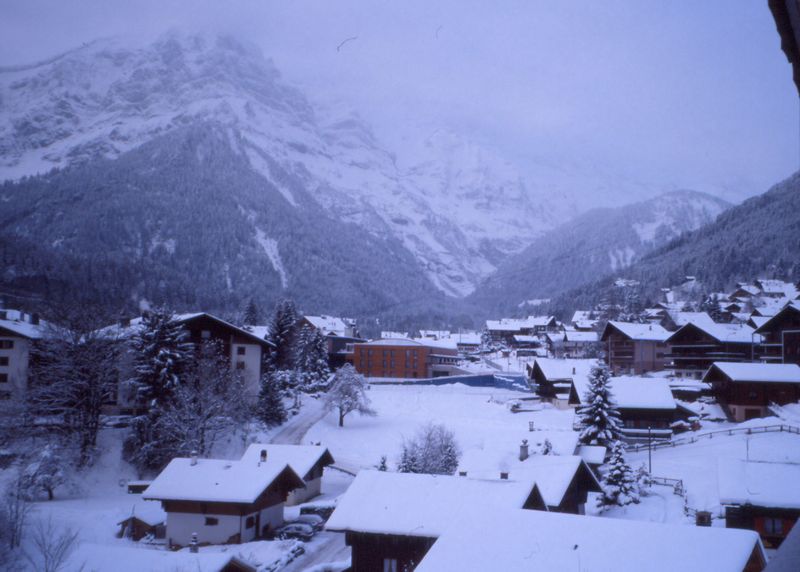 776x547 pixels (65K)