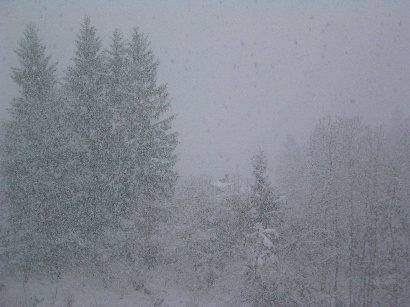 386x282 pixels (49K)