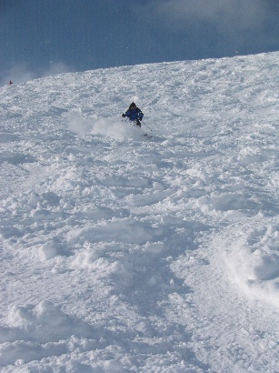 283x385 pixels (64K)