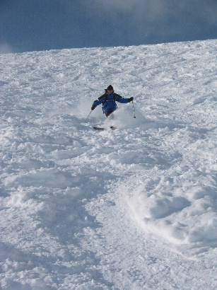 283x385 pixels (64K)