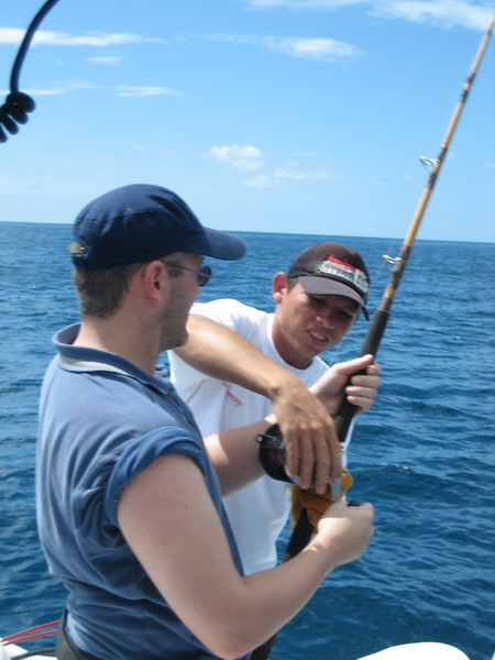 428x577 pixels (73K)