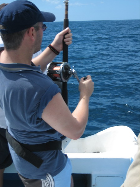 428x577 pixels (72K)