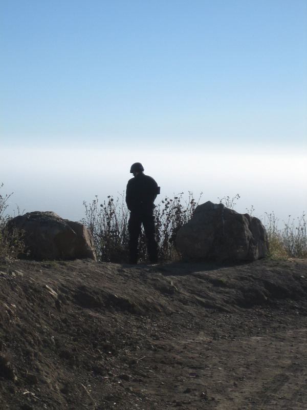 576x775 pixels (103K)