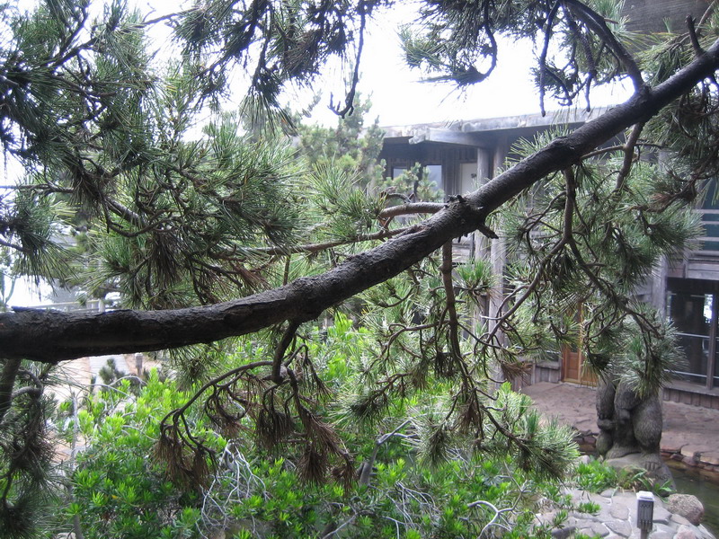 776x575 pixels (273K)