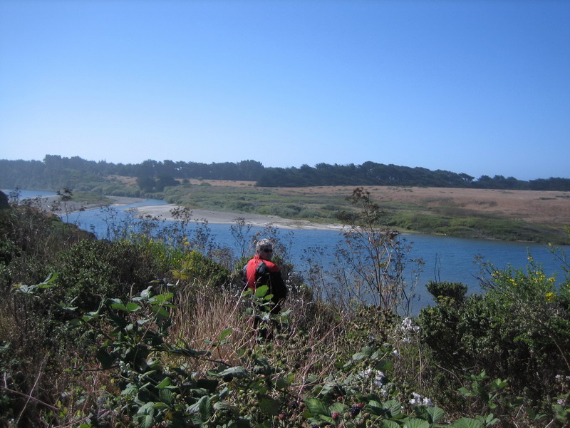 776x575 pixels (162K)