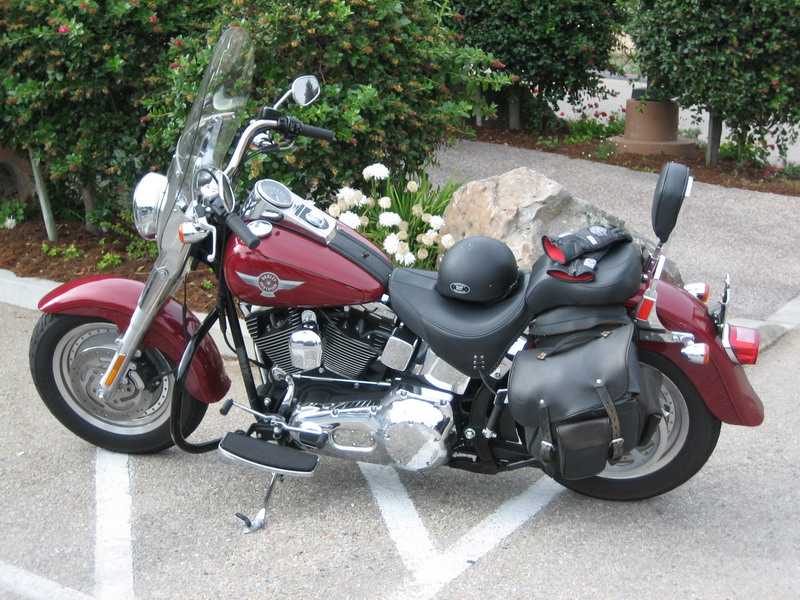 776x575 pixels (208K)