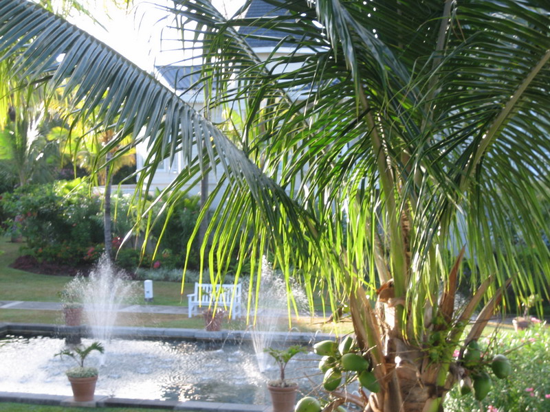 776x575 pixels (215K)