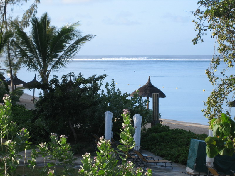 776x575 pixels (173K)