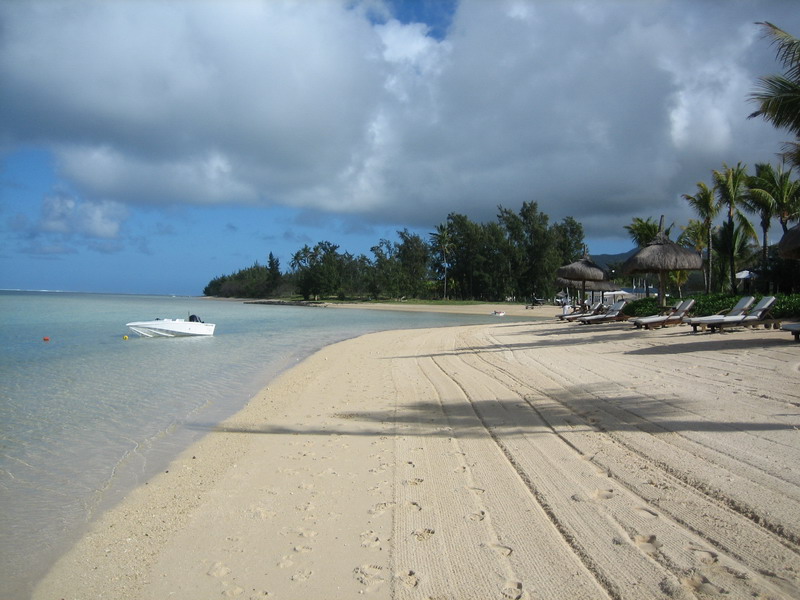 776x575 pixels (129K)