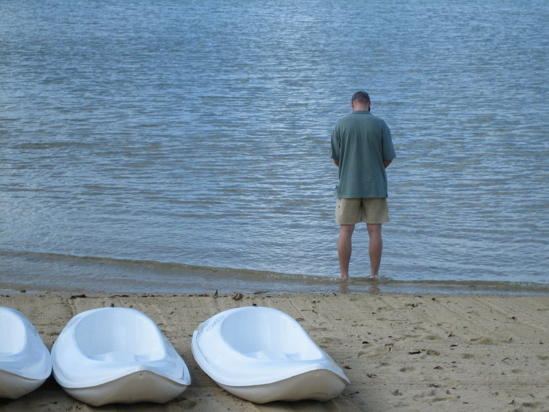 776x575 pixels (149K)