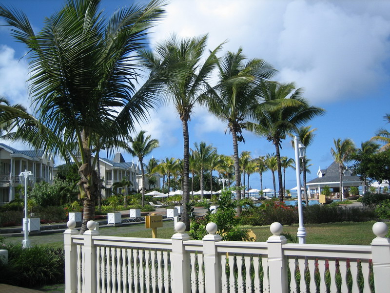 776x575 pixels (213K)