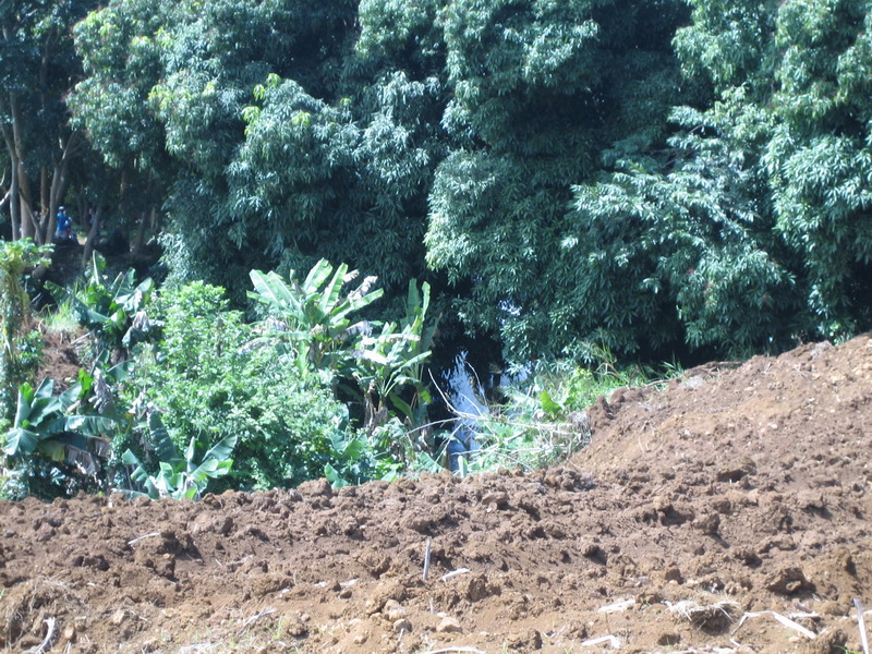 776x575 pixels (262K)