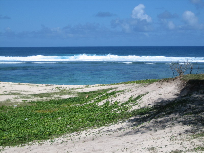 776x575 pixels (151K)