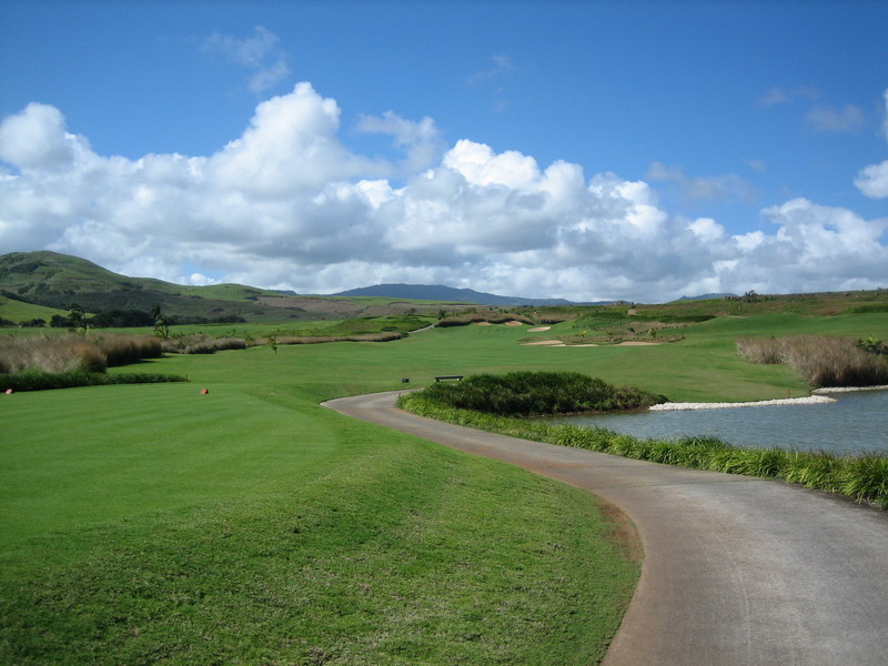 776x575 pixels (135K)