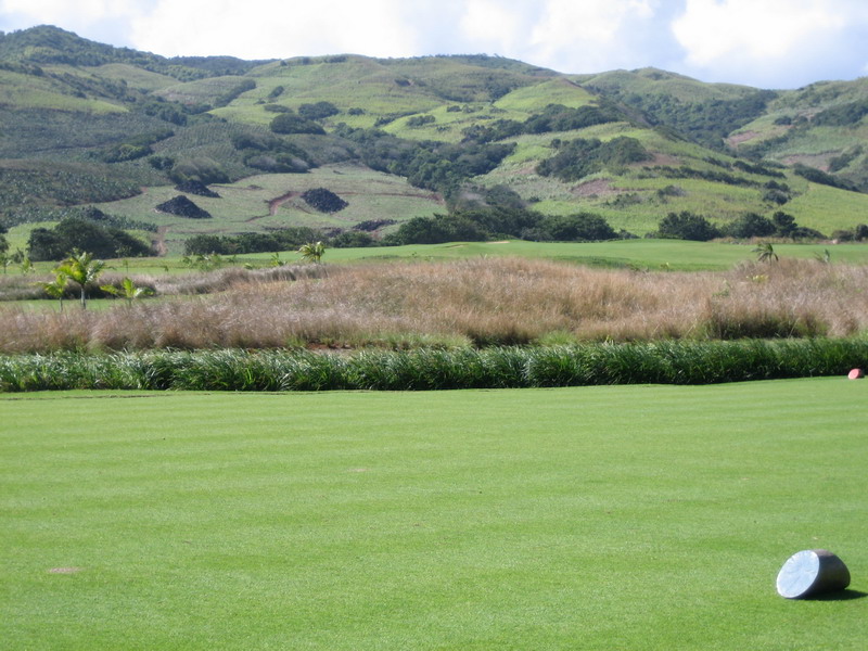 776x575 pixels (162K)