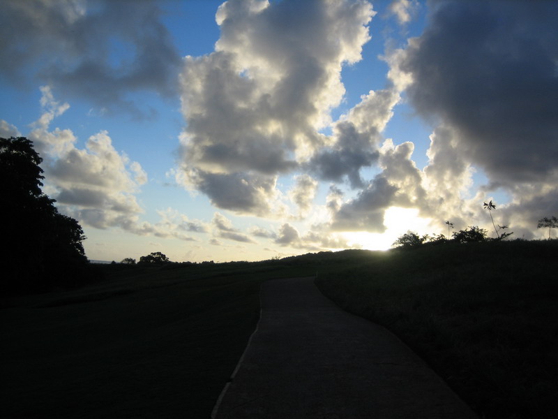 776x575 pixels (85K)