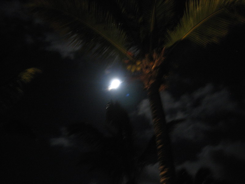 776x575 pixels (65K)