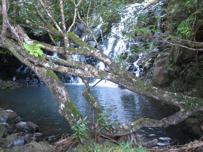 776x575 pixels (236K)