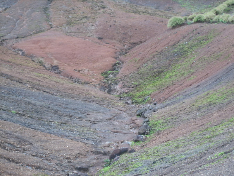 776x575 pixels (188K)