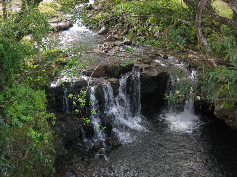 776x575 pixels (245K)