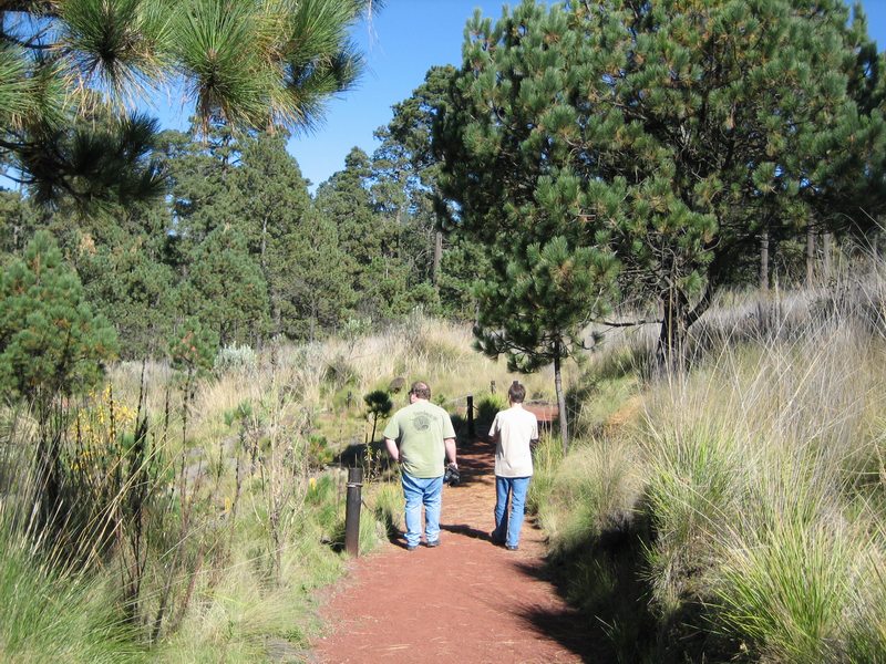 776x575 pixels (172K)