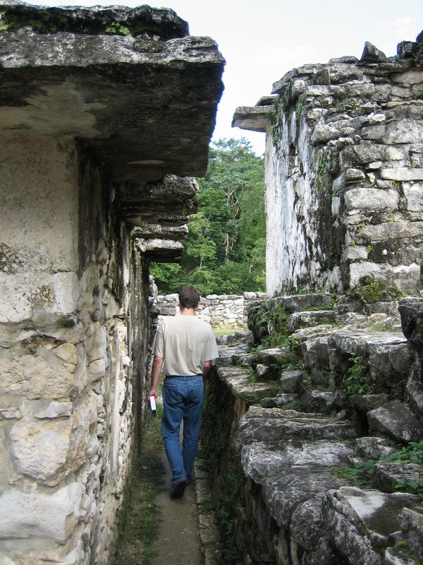 576x775 pixels (129K)