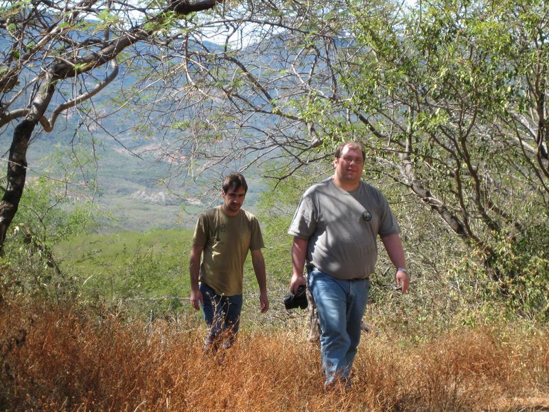 776x575 pixels (166K)