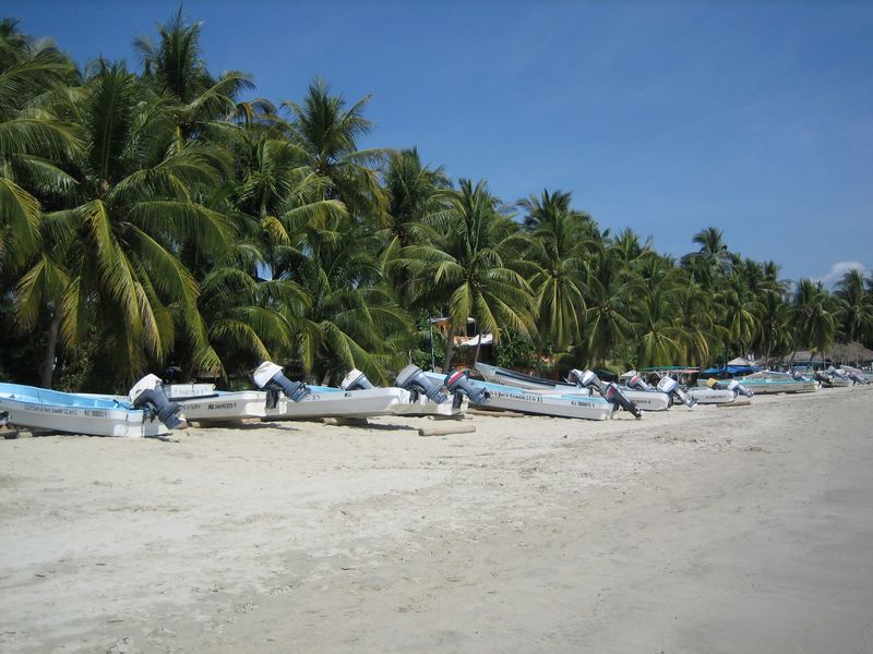 776x575 pixels (84K)