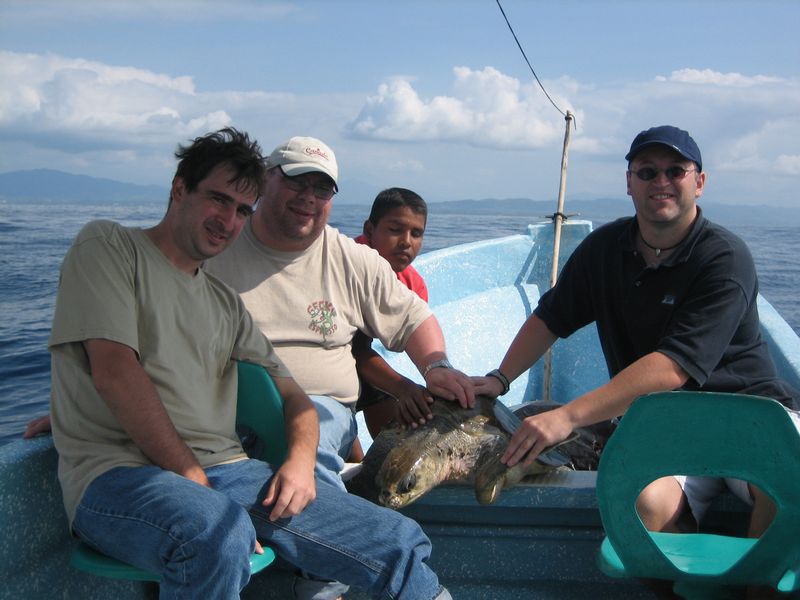 776x575 pixels (65K)