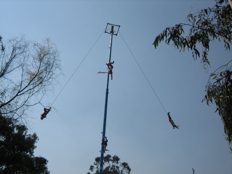 776x575 pixels (57K)