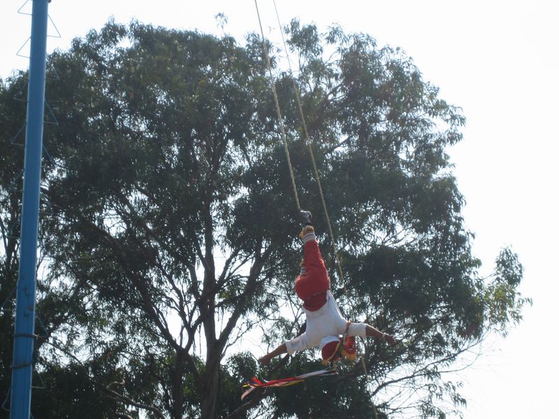 776x575 pixels (116K)