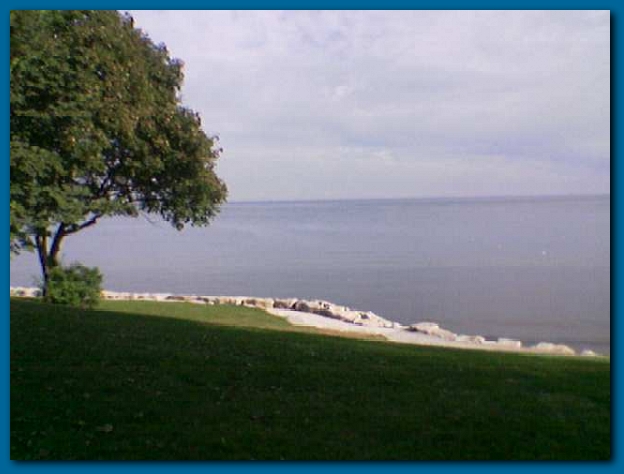 600x449 pixels (162K)