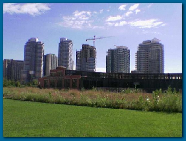 600x449 pixels (182K)