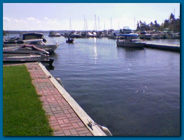 600x449 pixels (189K)